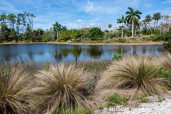 Naples Botanical Gardens-49