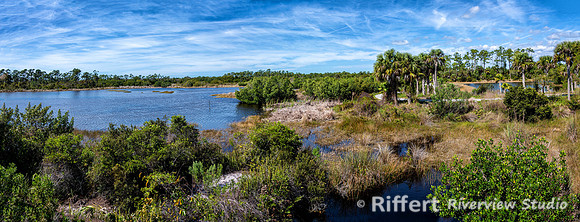 Naples Botanical Gardens-48