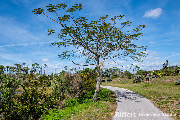 Naples Botanical Gardens-50