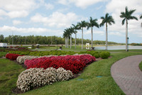 _-11
