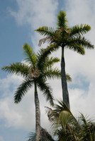 _-12