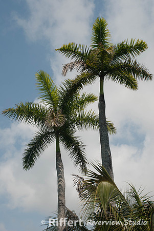 _-12