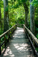 Everglades-2