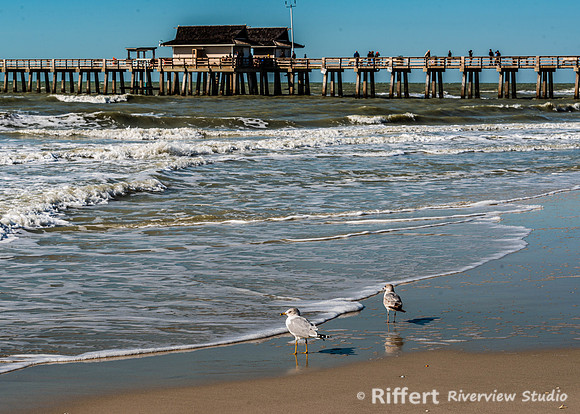 Naples Pier-2