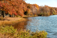 Glen Jones Lake-6