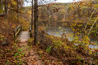 Autumn Trail