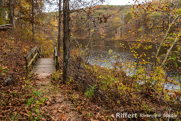 Autumn Trail