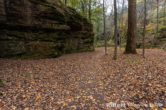 Pounds Hollow-2