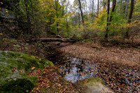 Pounds Hollow-3