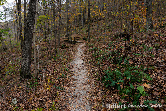 Pounds Hollow-5