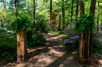 Azalea Path-5