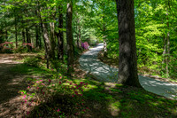 Azalea Path-8