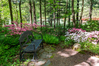 Azalea Path-14