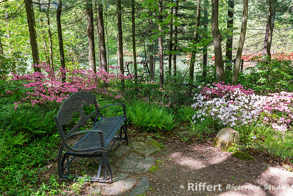 Azalea Path-14