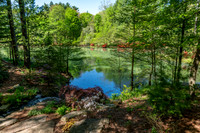 Azalea Path-18