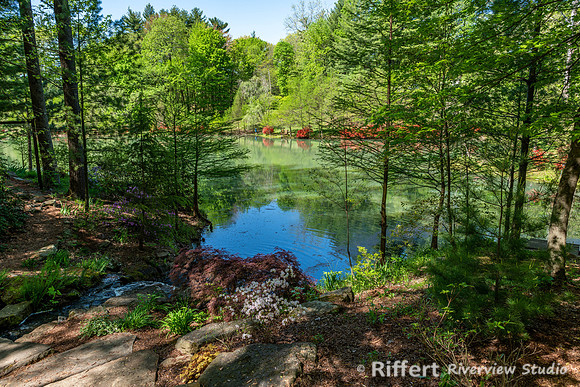 Azalea Path-18