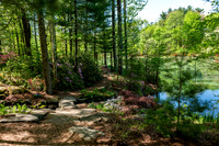 Azalea Path-20