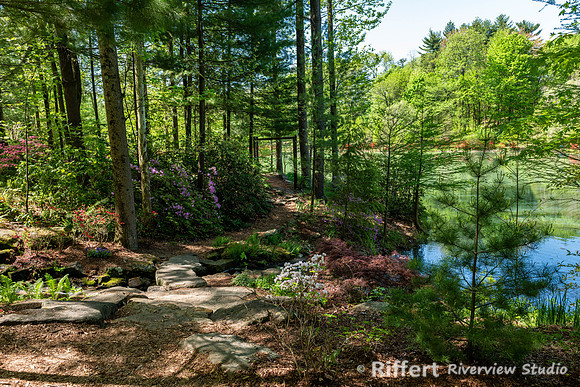 Azalea Path-20