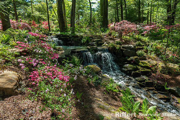 Azalea Path-21