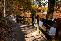 Brown County State Park-10