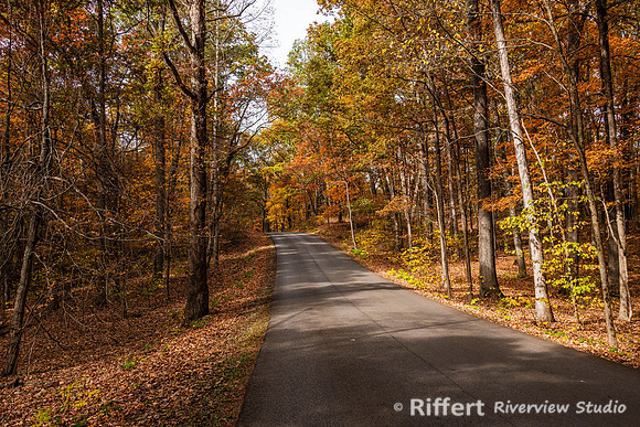 Brown County State Park-23