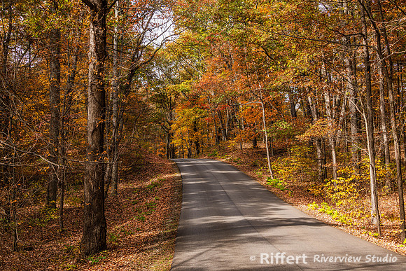 Brown County State Park-24