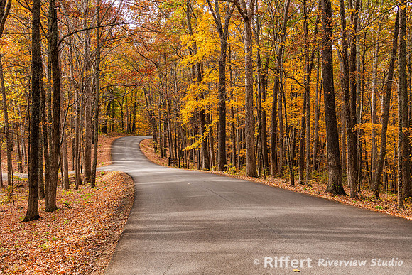 Brown County State Park-26