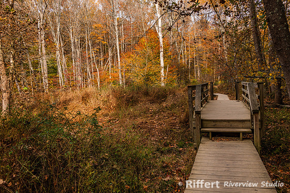 Brown County State Park-34