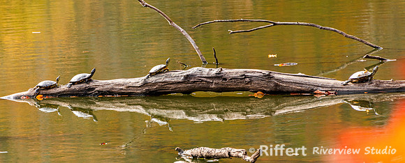 Brown County State Park-35