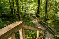 Clifty Falls State Park-8