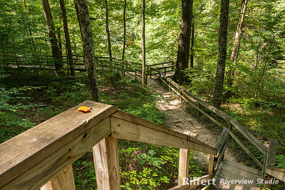 Clifty Falls State Park-8