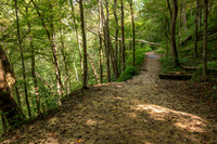 Clifty Falls State Park-11