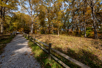 Hemlock Cliffs Trail - Hoosier Natl Forest-2