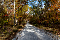 Hemlock Cliffs Trail - Hoosier Natl Forest