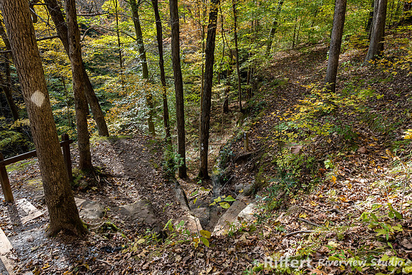 Hemlock Cliffs Trail - Hoosier Natl Forest-4