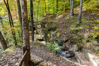 Hemlock Cliffs Trail - Hoosier Natl Forest-5