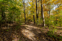 Hemlock Cliffs Trail - Hoosier Natl Forest-3