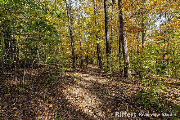 Hemlock Cliffs Trail - Hoosier Natl Forest-3