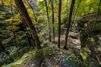 Hemlock Cliffs Trail - Hoosier Natl Forest-6