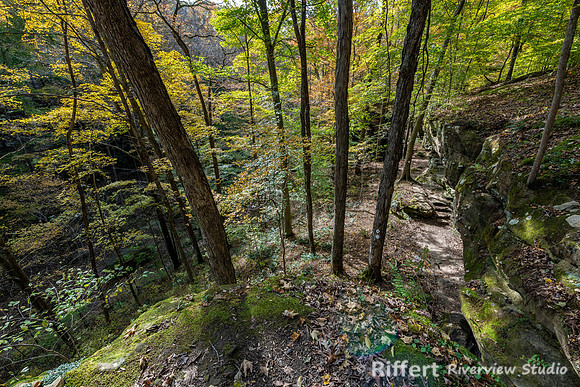 Hemlock Cliffs Trail - Hoosier Natl Forest-6