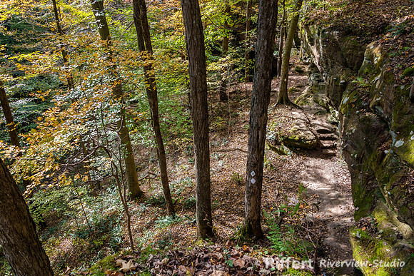 Hemlock Cliffs Trail - Hoosier Natl Forest-7