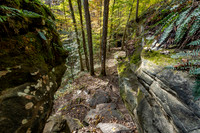 Hemlock Cliffs Trail - Hoosier Natl Forest-8