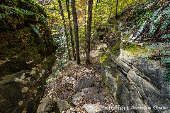 Hemlock Cliffs Trail - Hoosier Natl Forest-8