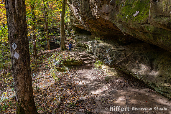 Hemlock Cliffs Trail - Hoosier Natl Forest-10