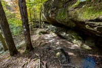 Hemlock Cliffs Trail - Hoosier Natl Forest-9