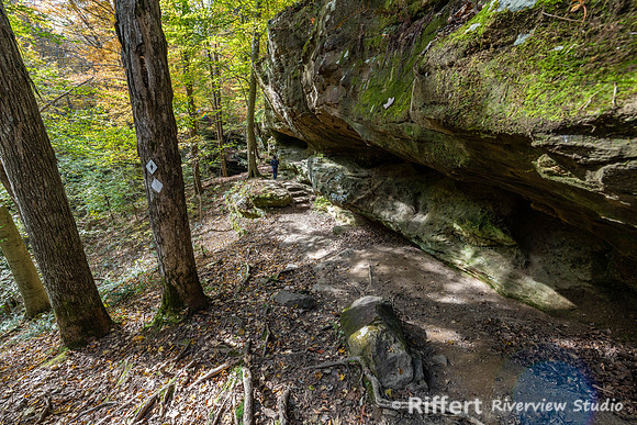 Hemlock Cliffs Trail - Hoosier Natl Forest-9