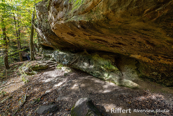 Hemlock Cliffs Trail - Hoosier Natl Forest-11