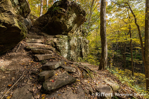 Hemlock Cliffs Trail - Hoosier Natl Forest-12