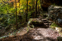 Hemlock Cliffs Trail - Hoosier Natl Forest-14