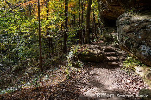 Hemlock Cliffs Trail - Hoosier Natl Forest-14